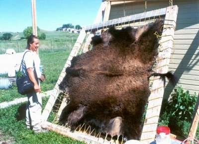Bizon pozostaje dla Lakot�w cennym i wszechstronnie wykorzystywanym dobrem. Foto Co. Alicja Sordyl 2001