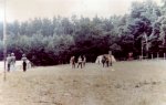 Widok na centralny plac ze s�upem do rzucania toporkami i no�ami; z lewej maszt z flag� dakock�, z prawej brama wej�ciowa na teren zlotu, w g��bii namiot-biuro i punkt zbi�rki przybor�w szkolnych dla india�skich dzieci